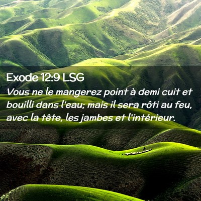 Picture 02 - Exode 12:9 LSG - Vous ne le mangerez point à demi cuit et bouilli - Bible Verse Picture