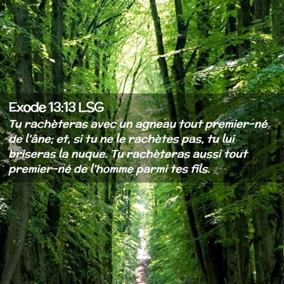 Picture 02 - Exode 13:13 LSG - Tu rachèteras avec un agneau tout premier-né de - Bible Verse Picture