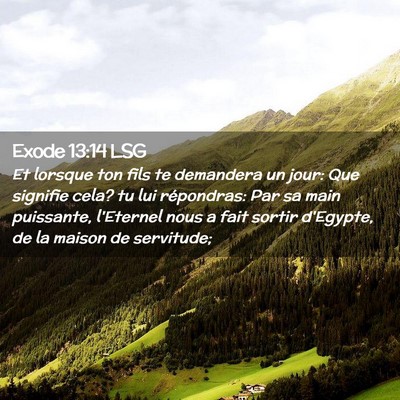 Picture 02 - Exode 13:14 LSG - Et lorsque ton fils te demandera un jour: Que - Bible Verse Picture
