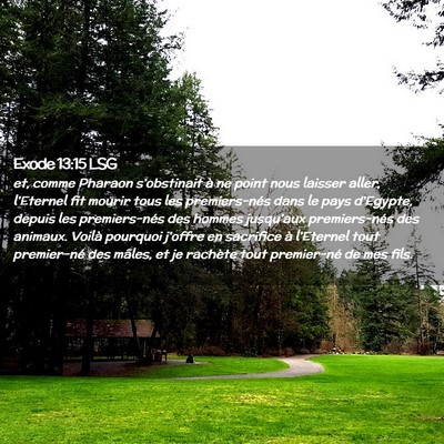 Picture 02 - Exode 13:15 LSG - et, comme Pharaon s'obstinait à ne point nous - Bible Verse Picture
