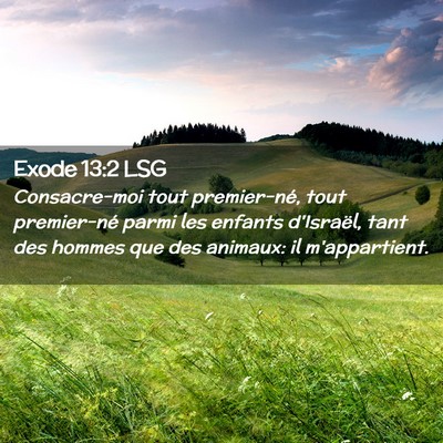 Picture 02 - Exode 13:2 LSG - Consacre-moi tout premier-né, tout premier-né - Bible Verse Picture