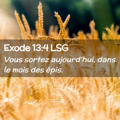 Picture 02 - Exode 13:4 LSG - Vous sortez aujourd'hui, dans le mois des - Bible Verse Picture