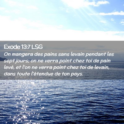 Picture 02 - Exode 13:7 LSG - On mangera des pains sans levain pendant les sept - Bible Verse Picture