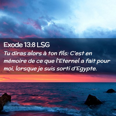 Picture 02 - Exode 13:8 LSG - Tu diras alors à ton fils: C'est en mémoire de - Bible Verse Picture