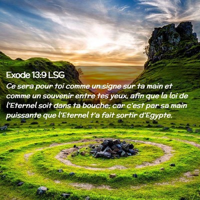 Picture 02 - Exode 13:9 LSG - Ce sera pour toi comme un signe sur ta main et - Bible Verse Picture