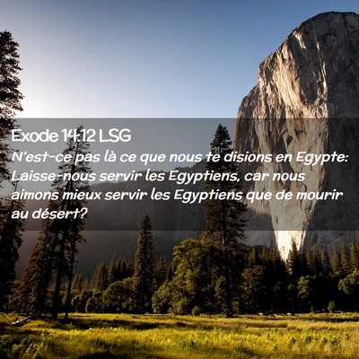 Picture 02 - Exode 14:12 LSG - N'est-ce pas là ce que nous te disions en - Bible Verse Picture