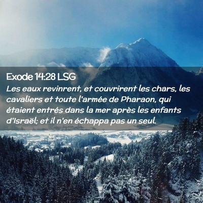 Picture 02 - Exode 14:28 LSG - Les eaux revinrent, et couvrirent les chars, les - Bible Verse Picture