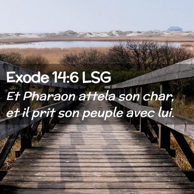 Picture 02 - Exode 14:6 LSG - Et Pharaon attela son char, et il prit son peuple - Bible Verse Picture