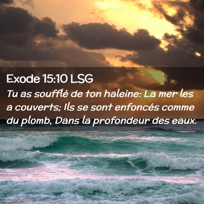 Picture 02 - Exode 15:10 LSG - Tu as soufflé de ton haleine: La mer les a - Bible Verse Picture