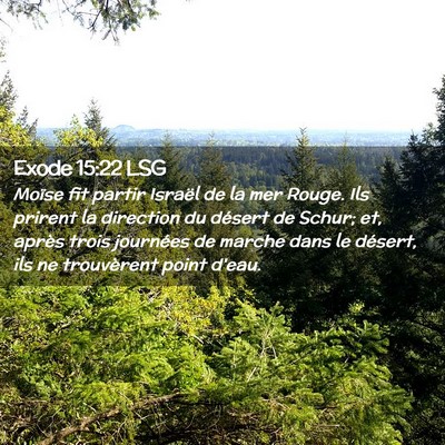 Picture 02 - Exode 15:22 LSG - Moïse fit partir Israël de la mer Rouge. Ils - Bible Verse Picture