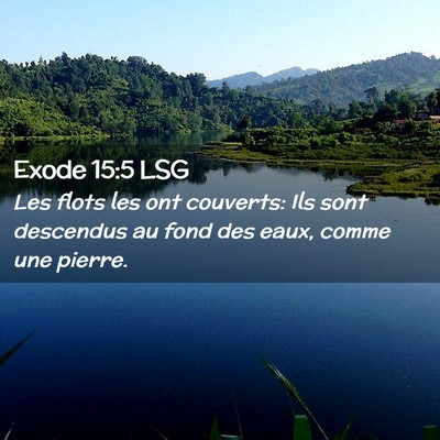 Picture 02 - Exode 15:5 LSG - Les flots les ont couverts: Ils sont descendus au - Bible Verse Picture