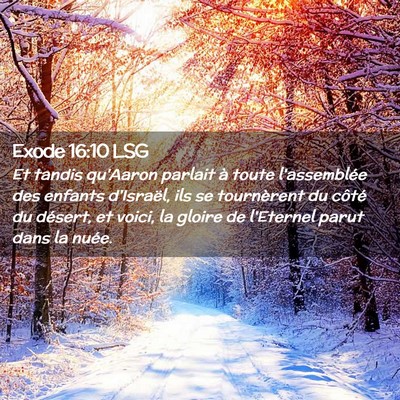 Picture 02 - Exode 16:10 LSG - Et tandis qu'Aaron parlait à toute l'assemblée - Bible Verse Picture