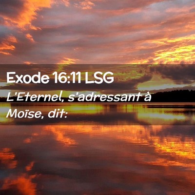 Picture 02 - Exode 16:11 LSG - L'Eternel, s'adressant à Moïse, - Bible Verse Picture