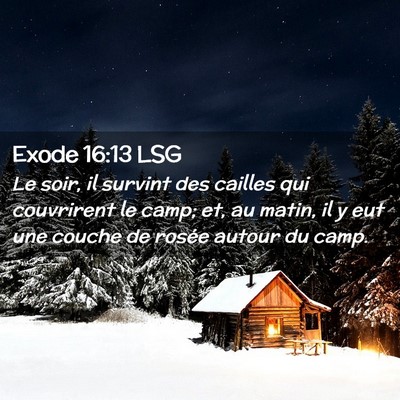 Picture 02 - Exode 16:13 LSG - Le soir, il survint des cailles qui couvrirent le - Bible Verse Picture