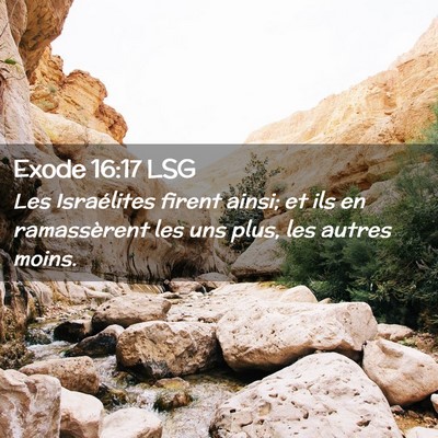 Picture 02 - Exode 16:17 LSG - Les Israélites firent ainsi; et ils en - Bible Verse Picture