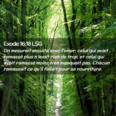 Picture 02 - Exode 16:18 LSG - On mesurait ensuite avec l'omer; celui qui avait - Bible Verse Picture