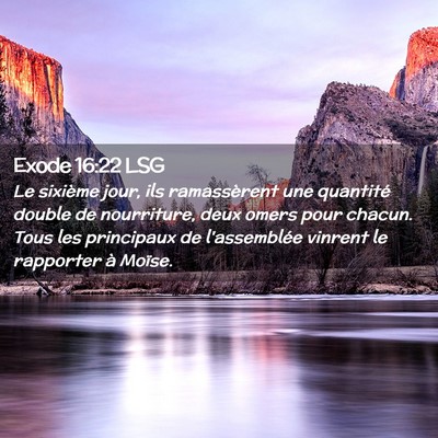 Picture 02 - Exode 16:22 LSG - Le sixième jour, ils ramassèrent une quantité - Bible Verse Picture