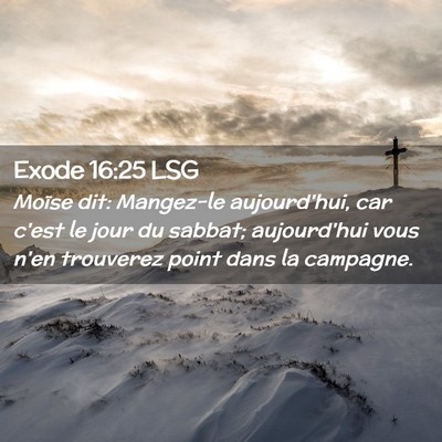 Picture 02 - Exode 16:25 LSG - Moïse dit: Mangez-le aujourd'hui, car c'est le - Bible Verse Picture