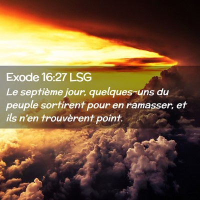 Picture 02 - Exode 16:27 LSG - Le septième jour, quelques-uns du peuple - Bible Verse Picture