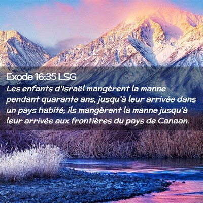 Picture 02 - Exode 16:35 LSG - Les enfants d'Israël mangèrent la manne pendant - Bible Verse Picture