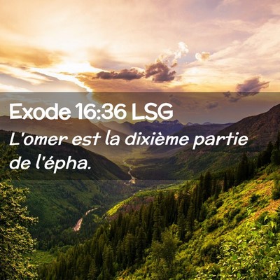 Picture 02 - Exode 16:36 LSG - L'omer est la dixième partie de - Bible Verse Picture