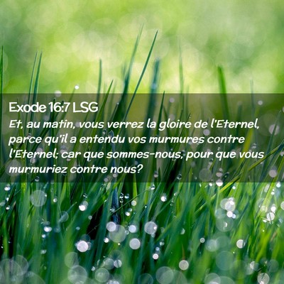 Picture 02 - Exode 16:7 LSG - Et, au matin, vous verrez la gloire de l'Eternel, - Bible Verse Picture