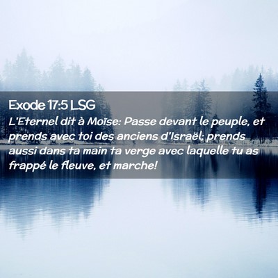 Picture 02 - Exode 17:5 LSG - L'Eternel dit à Moïse: Passe devant le peuple, - Bible Verse Picture