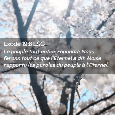 Picture 02 - Exode 19:8 LSG - Le peuple tout entier répondit: Nous ferons tout - Bible Verse Picture