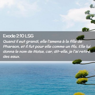 Picture 02 - Exode 2:10 LSG - Quand il eut grandi, elle l'amena à la fille de - Bible Verse Picture
