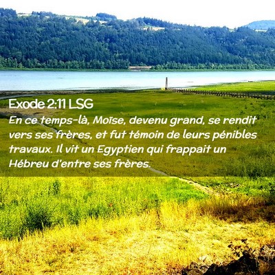 Picture 02 - Exode 2:11 LSG - En ce temps-là, Moïse, devenu grand, se rendit - Bible Verse Picture