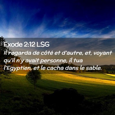 Picture 02 - Exode 2:12 LSG - Il regarda de côté et d'autre, et, voyant qu'il - Bible Verse Picture