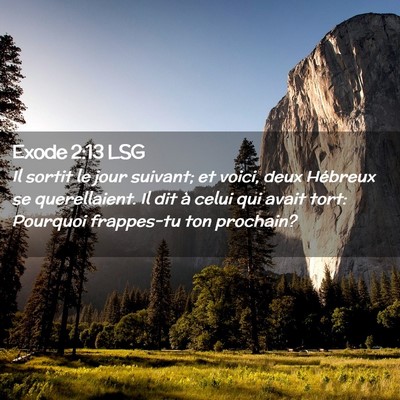 Picture 02 - Exode 2:13 LSG - Il sortit le jour suivant; et voici, deux - Bible Verse Picture