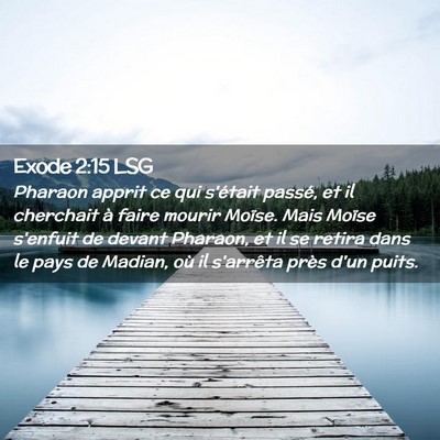 Picture 02 - Exode 2:15 LSG - Pharaon apprit ce qui s'était passé, et il - Bible Verse Picture