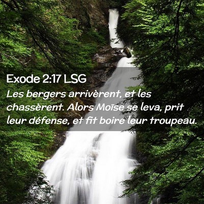 Picture 02 - Exode 2:17 LSG - Les bergers arrivèrent, et les chassèrent. - Bible Verse Picture