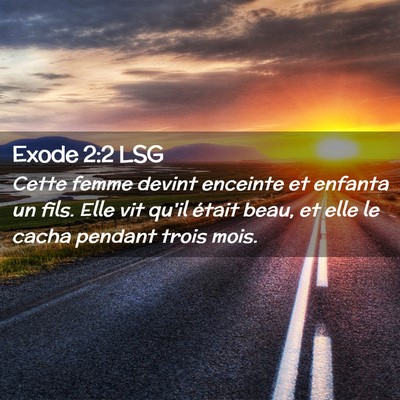 Picture 02 - Exode 2:2 LSG - Cette femme devint enceinte et enfanta un fils. - Bible Verse Picture