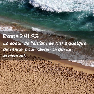 Picture 02 - Exode 2:4 LSG - La soeur de l'enfant se tint à quelque distance, - Bible Verse Picture