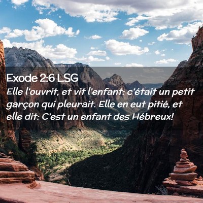 Picture 02 - Exode 2:6 LSG - Elle l'ouvrit, et vit l'enfant: c'était un petit - Bible Verse Picture