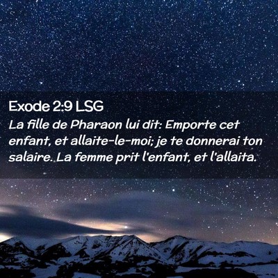 Picture 02 - Exode 2:9 LSG - La fille de Pharaon lui dit: Emporte cet enfant, - Bible Verse Picture