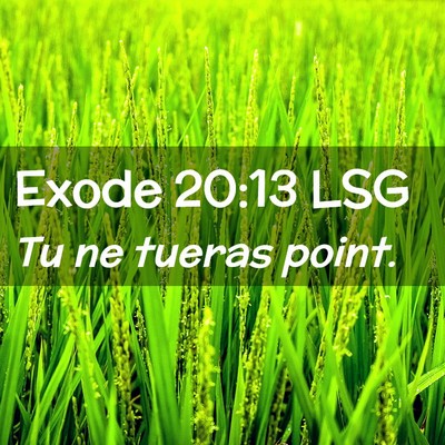 Picture 02 - Exode 20:13 LSG - Tu ne tueras - Bible Verse Picture