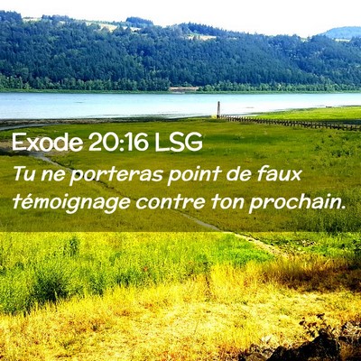 Picture 02 - Exode 20:16 LSG - Tu ne porteras point de faux témoignage contre - Bible Verse Picture