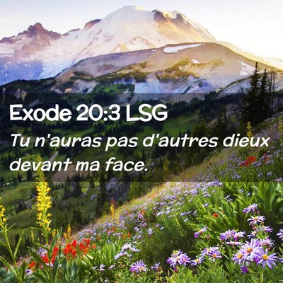 Picture 02 - Exode 20:3 LSG - Tu n'auras pas d'autres dieux devant ma - Bible Verse Picture