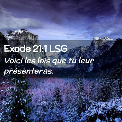 Picture 02 - Exode 21:1 LSG - Voici les lois que tu leur - Bible Verse Picture