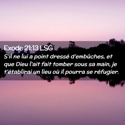 Picture 02 - Exode 21:13 LSG - S'il ne lui a point dressé d'embûches, et que - Bible Verse Picture