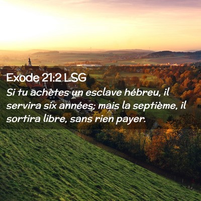 Picture 02 - Exode 21:2 LSG - Si tu achètes un esclave hébreu, il servira six - Bible Verse Picture