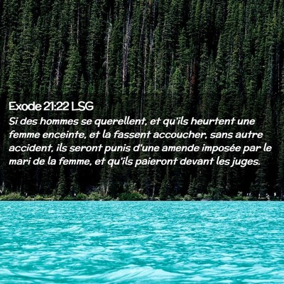 Picture 02 - Exode 21:22 LSG - Si des hommes se querellent, et qu'ils heurtent - Bible Verse Picture