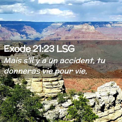 Picture 02 - Exode 21:23 LSG - Mais s'il y a un accident, tu donneras vie pour - Bible Verse Picture