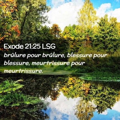 Picture 02 - Exode 21:25 LSG - brûlure pour brûlure, blessure pour blessure, - Bible Verse Picture