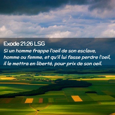 Picture 02 - Exode 21:26 LSG - Si un homme frappe l'oeil de son esclave, homme - Bible Verse Picture