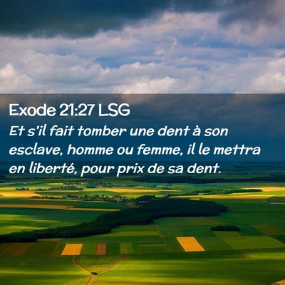 Picture 02 - Exode 21:27 LSG - Et s'il fait tomber une dent à son esclave, - Bible Verse Picture
