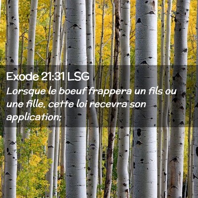 Picture 02 - Exode 21:31 LSG - Lorsque le boeuf frappera un fils ou une fille, - Bible Verse Picture